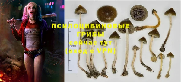 ешки Абдулино
