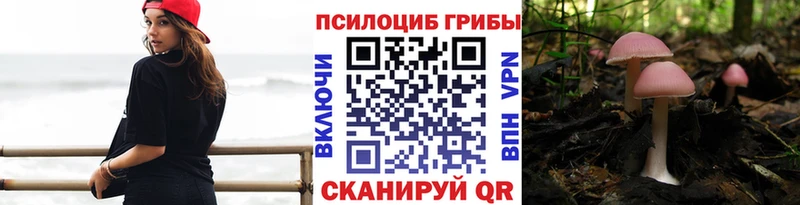 Псилоцибиновые грибы мицелий  где можно купить   Вологда 