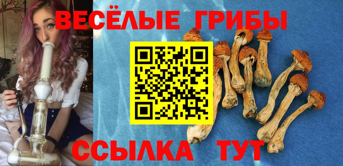 Галлюциногенные грибы ЛСД Вологда